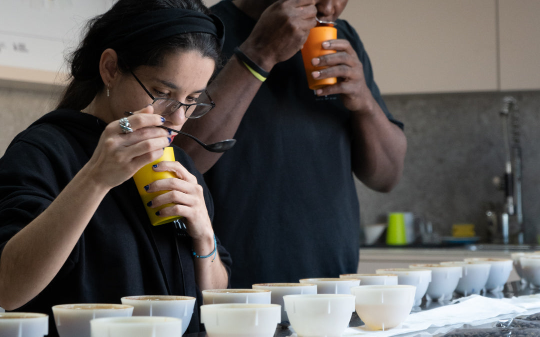 Cupping in Specialty Coffee – A Guide by ROR Coffee Roastery