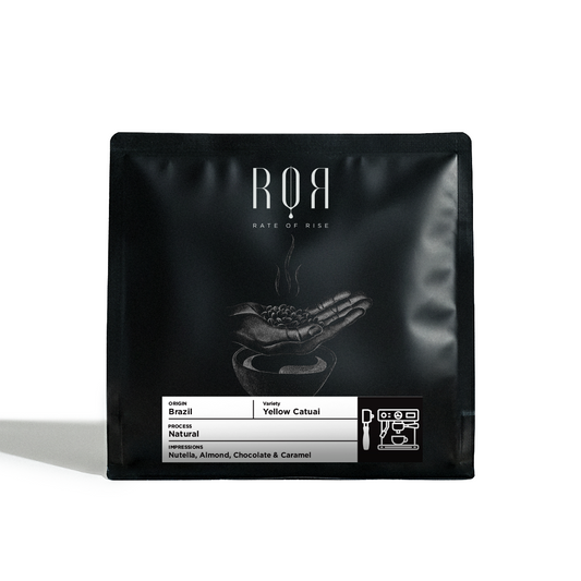 Brazil Yellow Catuai