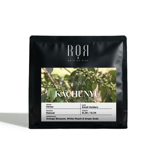 Kenya Kachunyu